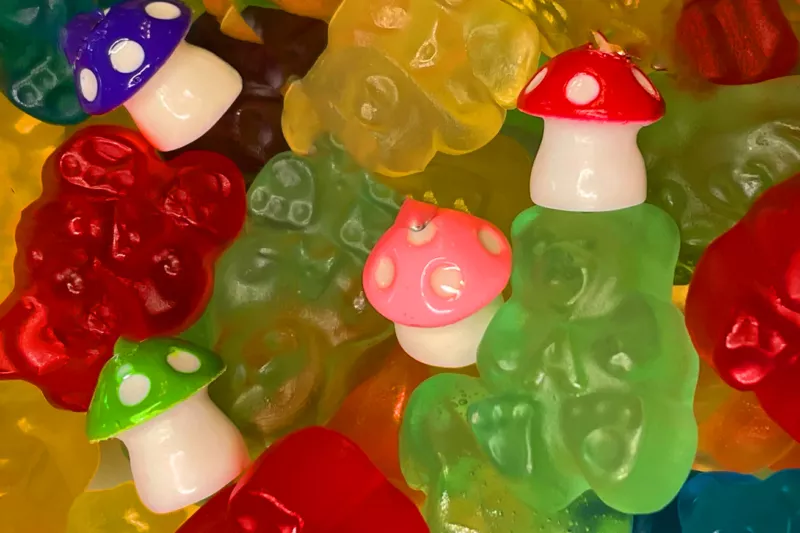 buy magic mushroom gummies in canada